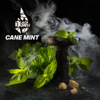 Табак Black Burn - Cane Mint (Тростниковая мята) 25 гр