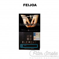 Табак Element Вода - Feijoa (Фейхоа) 40 гр